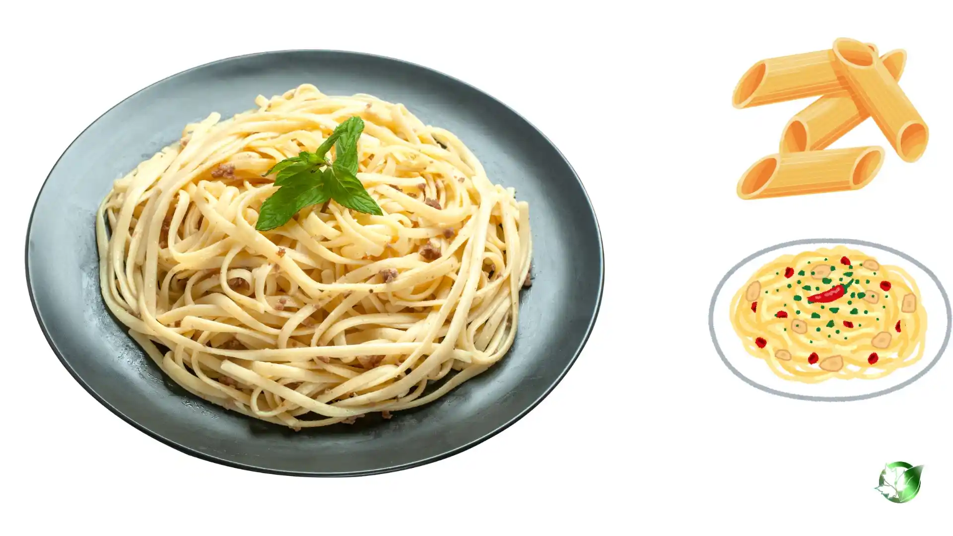 Pasta & Macaroni quality, format, and packaging should be matched to the buyer’s target application.